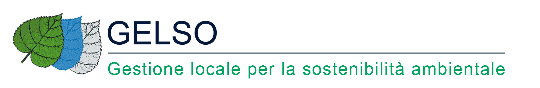Logo GELSO