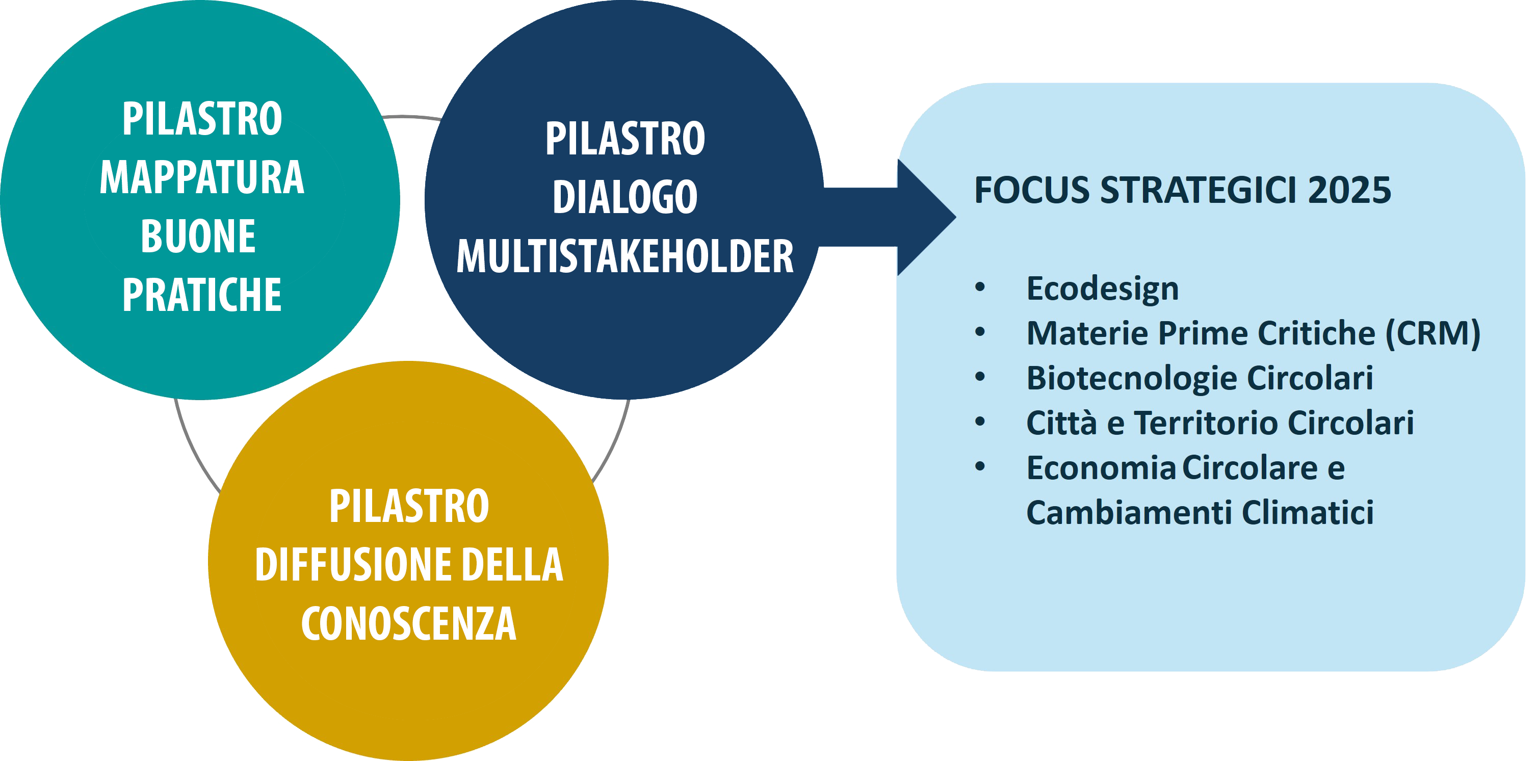 Diagramma dei Pilastri e dei Focus ICESP per il 2025. Descrizione nel testo