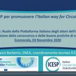 Immagini dalla conferenza ICESP 2020 - edizione online