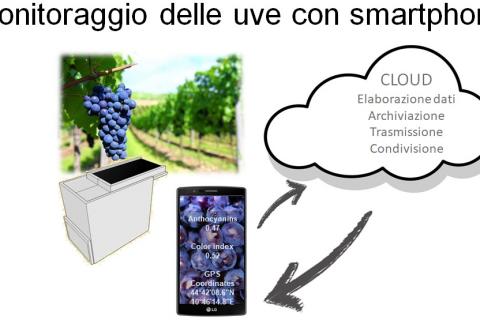 monitoraggio uve