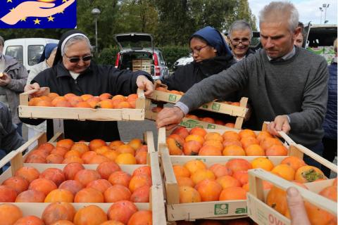 Distribuzione Gratuita