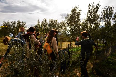 educazione alimentare ed ambientale