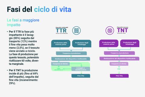 Fasi del ciclo di vita
