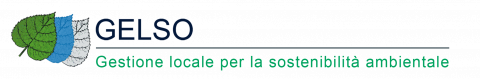 Logo GELSO