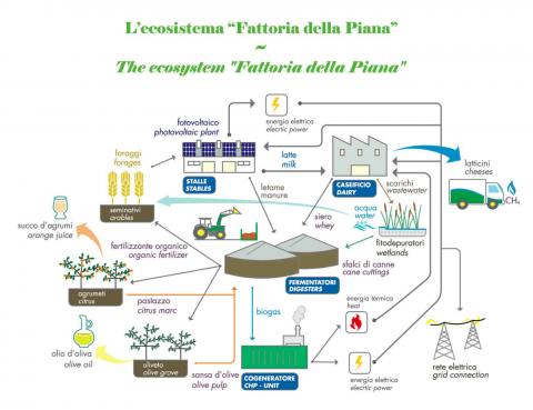 Schema ecosistema Fattoria della Piana