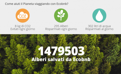 EcoBnB_alberi e CO2