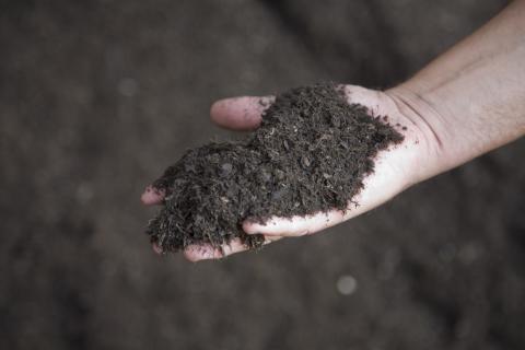 Compost