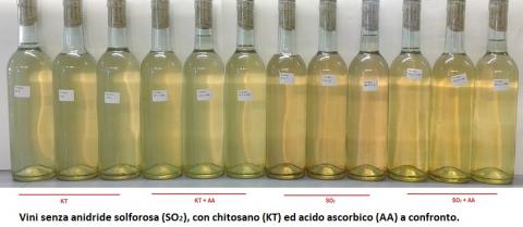 Vini senza solforosa