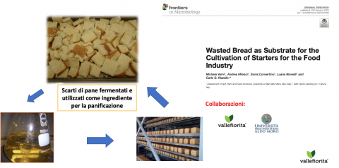 Scarti di pane fermentati per ingredienti panificazione