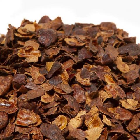 Bucce di caffè