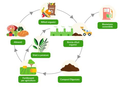 Infografica Ciclo produzione compost e biometano