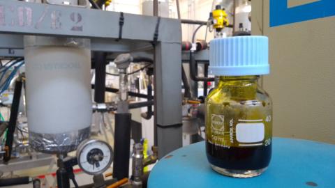 Olio estratto