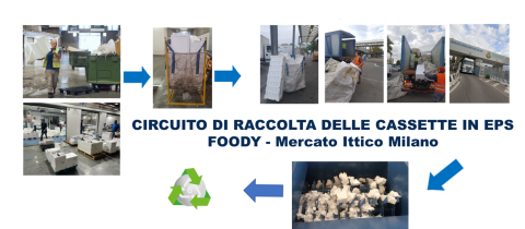 L'immagine presenta tutte le fasi della gestione delle raccolte in EPS dopo il loro utilizzo presso il mercato ittico di Milano