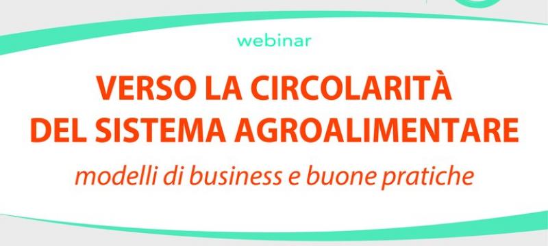 Locandina webinar