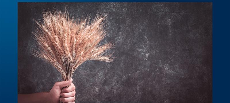 Sicurezza alimentare e sostenibilità della filiera agrifood: a che punto siamo?
