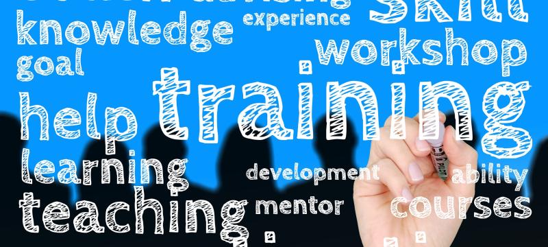 Training & Skills