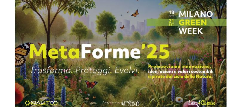 meta forme