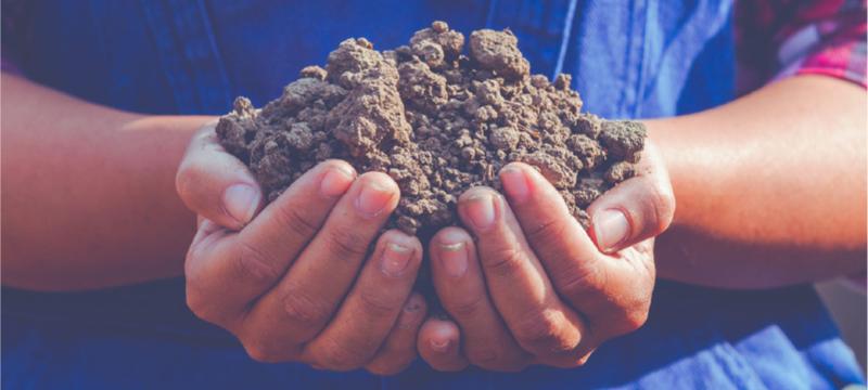 Locandina del workshop conclusivo del progetto CIRCULAGRIS, con immagine di mani che tengono del terreno e informazioni sull’evento dedicato ai sistemi agro‑alimentari circolari e sostenibili.